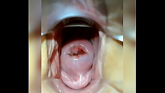 Watch A Young Girl Stretch Her Entire Vagina In Solo Masturbation