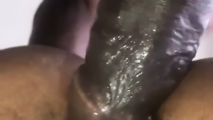 Squirting Jamaikalı Genç Anal Creampie Alıyor